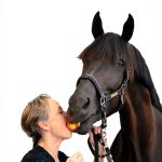 German Sports Equestrian Guide by Piper ebooks-0