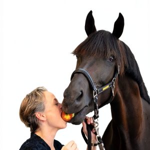 German Sports Equestrian Guide by Piper ebooks-0