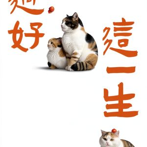 Chinese Literature Kindle eBook by Simplified Chinese Press 331 Pages-0