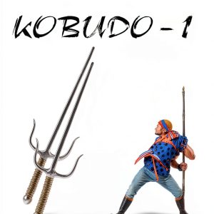 Kobudo Martial Arts Kindle eBook by Palisander Verlag German Edition-0