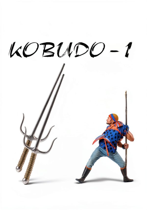 Kobudo Martial Arts Kindle eBook by Palisander Verlag German Edition-0