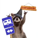 German Camping Guide by beTHRILLED Kindle 593‑Page Outdoor Handbook-0