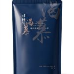 Chinese Christian Discipleship Guide by 忠信福音-0